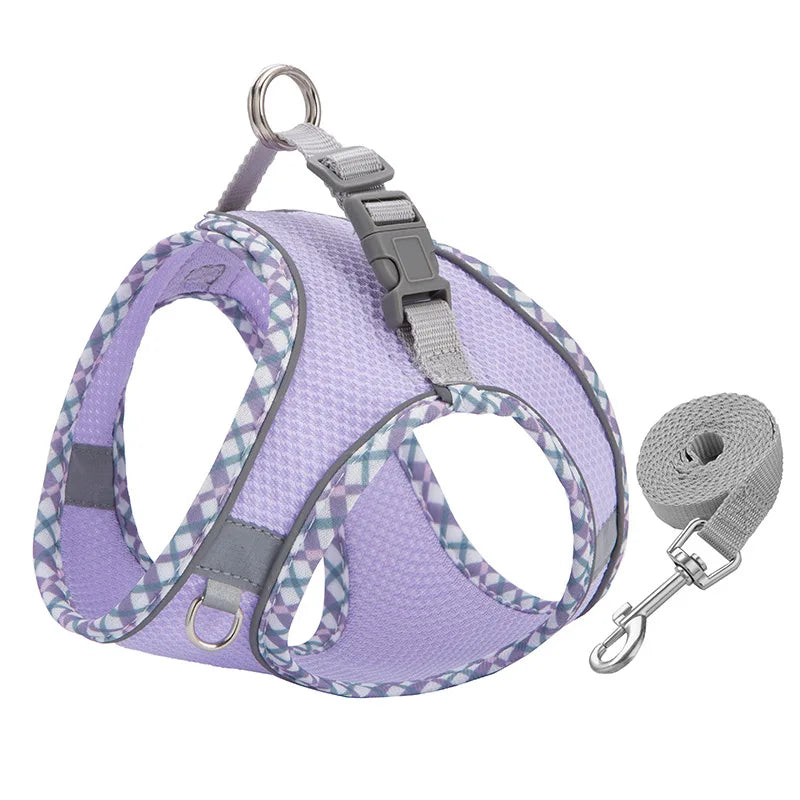 Reflective Mesh Harness and Lead Set - Purple / L