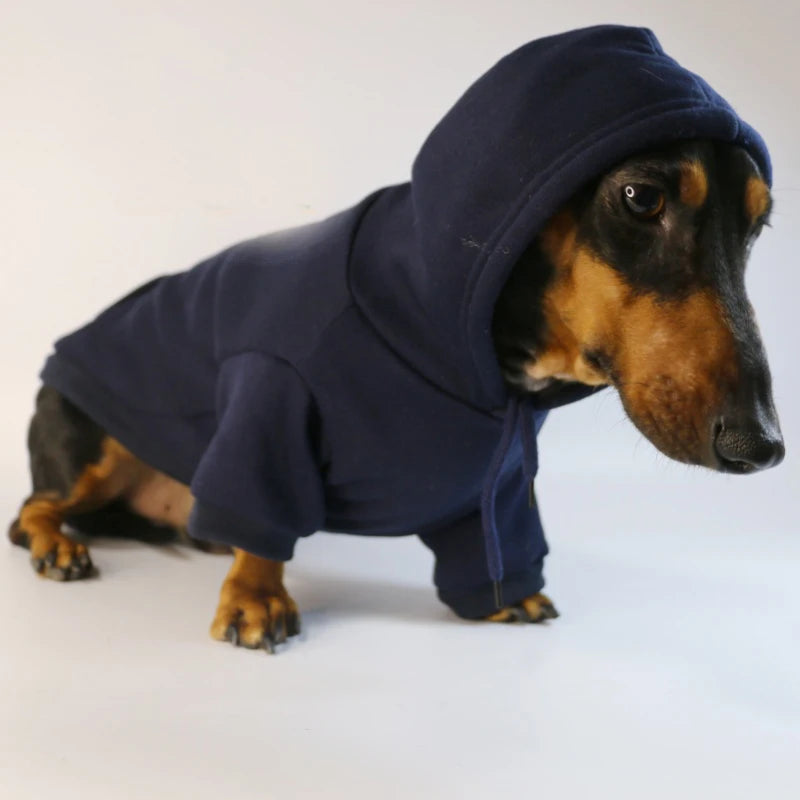 Hoodie for Dachshunds - Dark Blue / XS