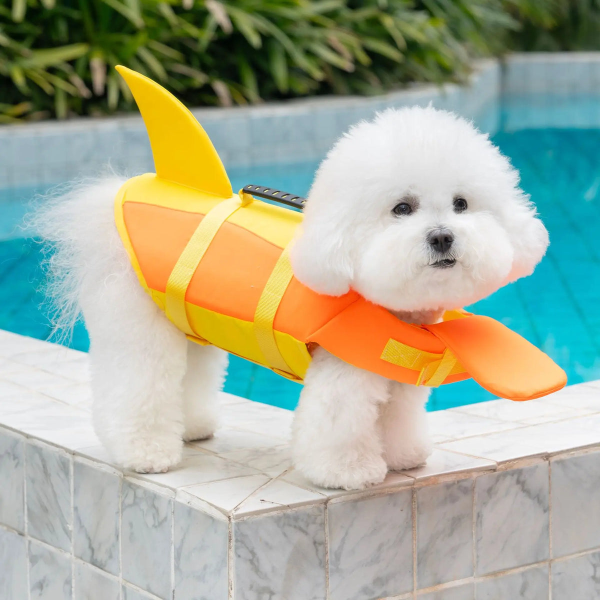Dog Life Jacket with Handle