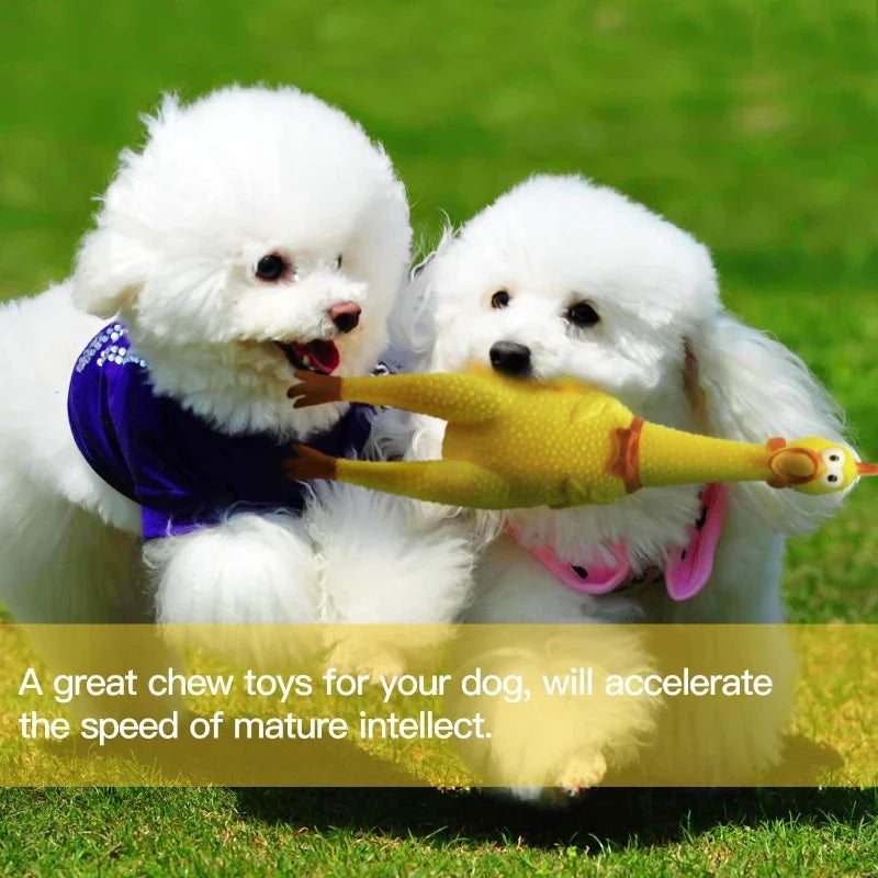 Screaming Rubber Chicken Dog Toy