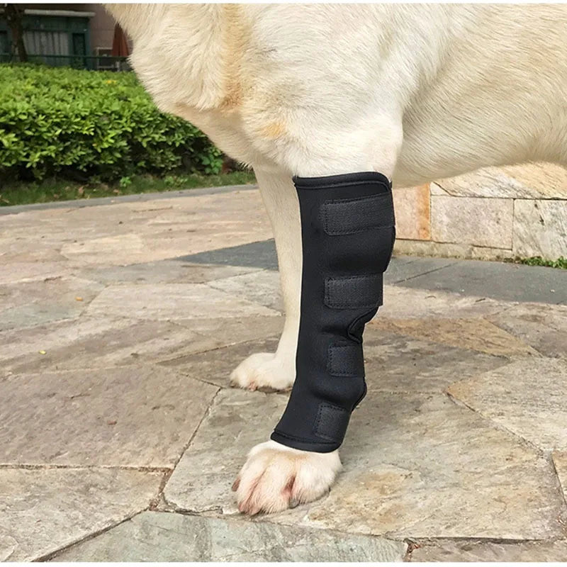 Leg Brace Wraps for Dogs