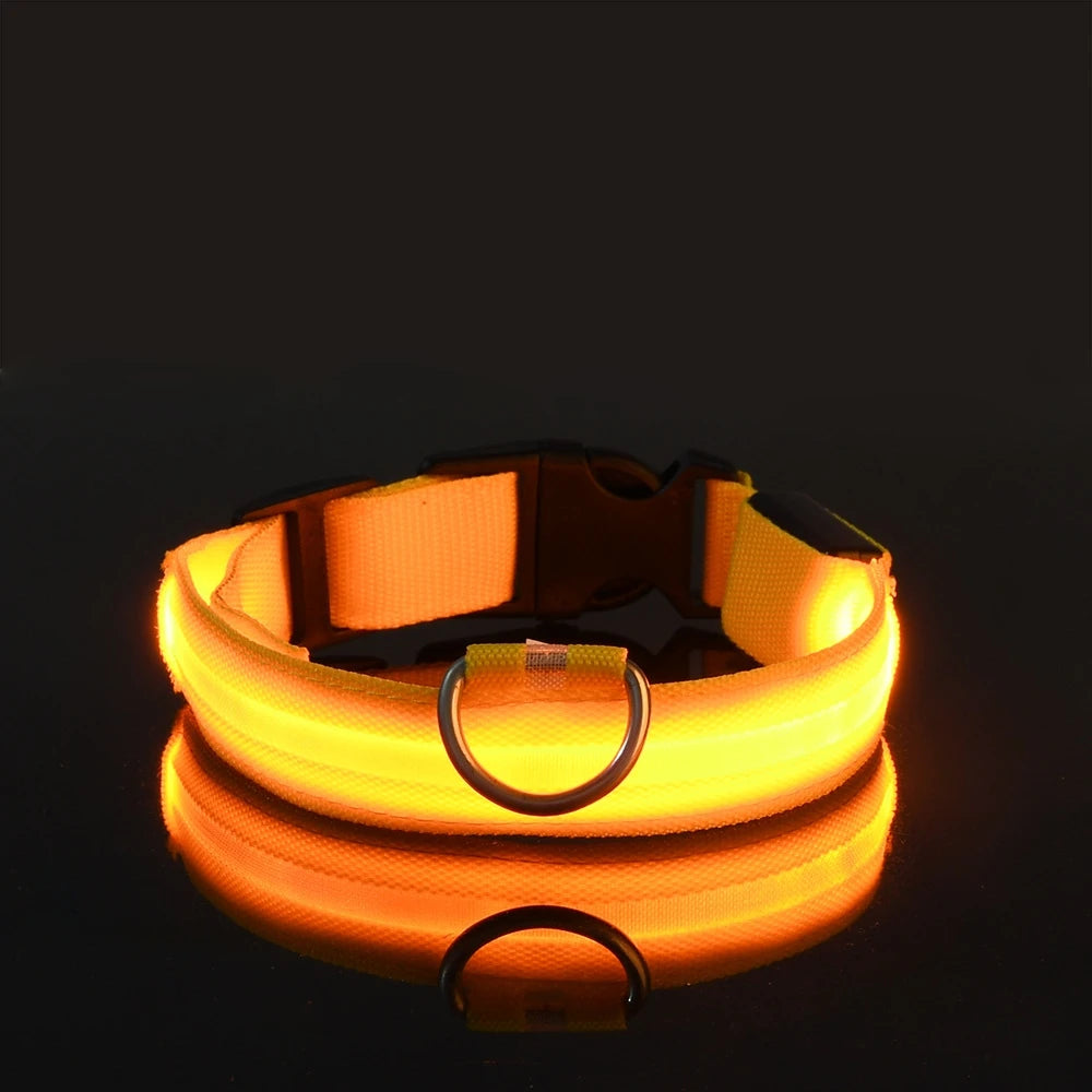 LED Light-Up Dog Collar, Flashing Night Safety Collar - Yellow / XS