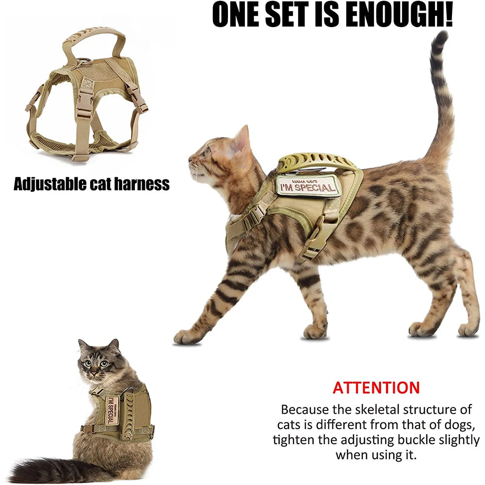 Tactical Cat Harness