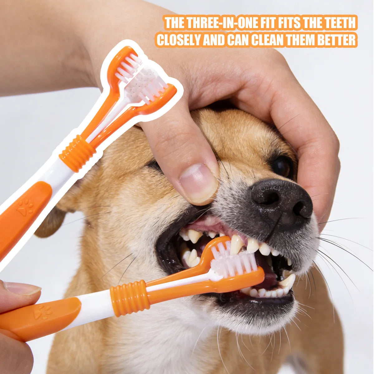 Three-Sided Dog Toothbrush