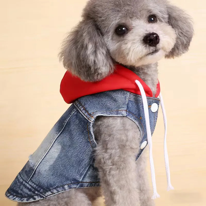 Denim Jacket with Hood for Small Dogs