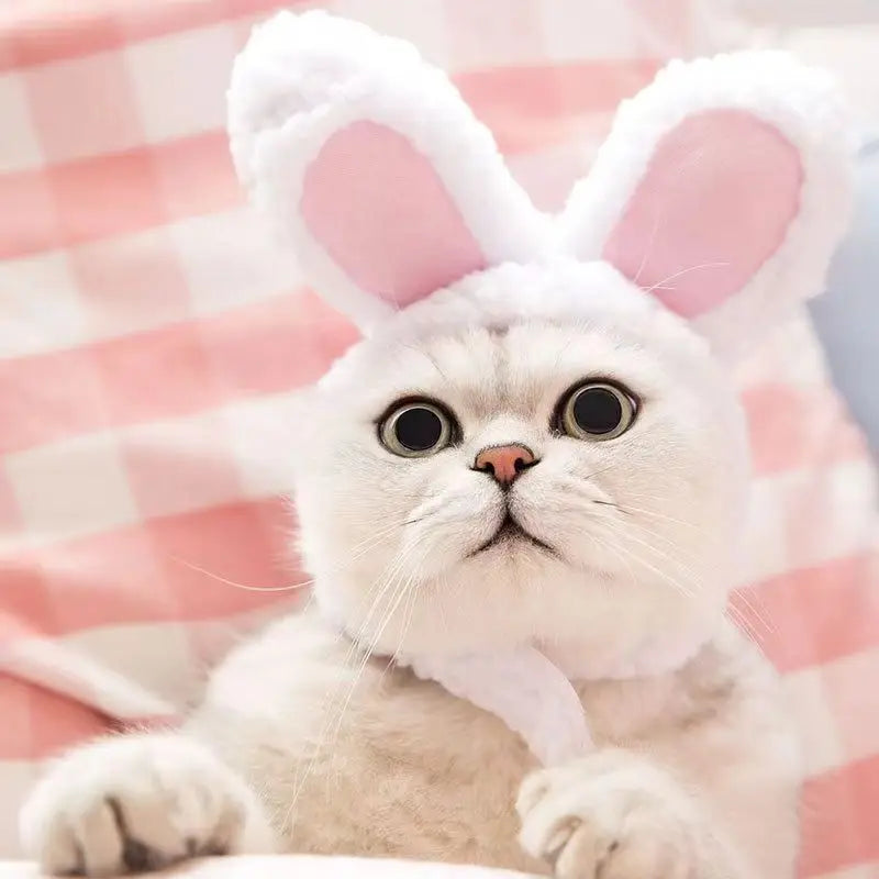 Bear and Bunny Hood Hat for Cats