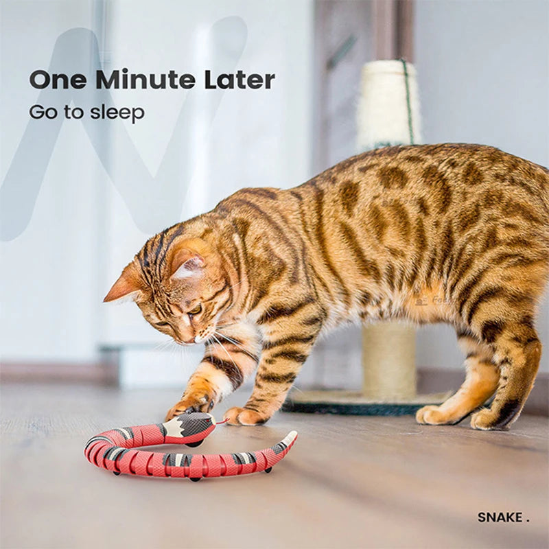 Smart Snake Cat Toy, Rechargeable