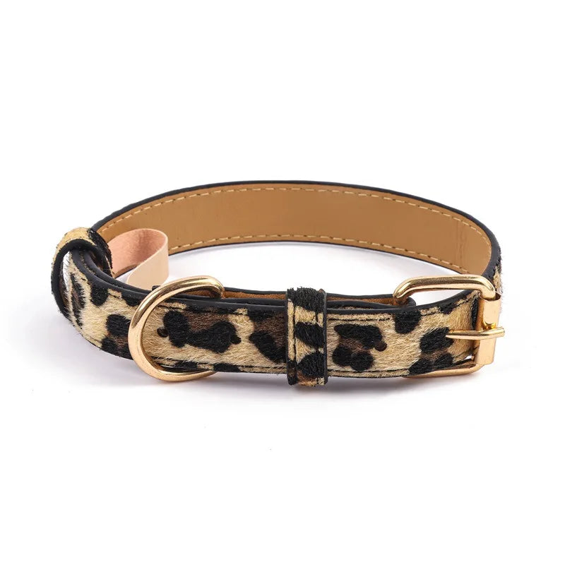 Leopard and Snake Print Collar - Leopard print / M