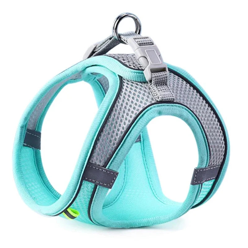 Reflective Step-In Harness and Lead Set for Small Dogs and Cats - Blue / M