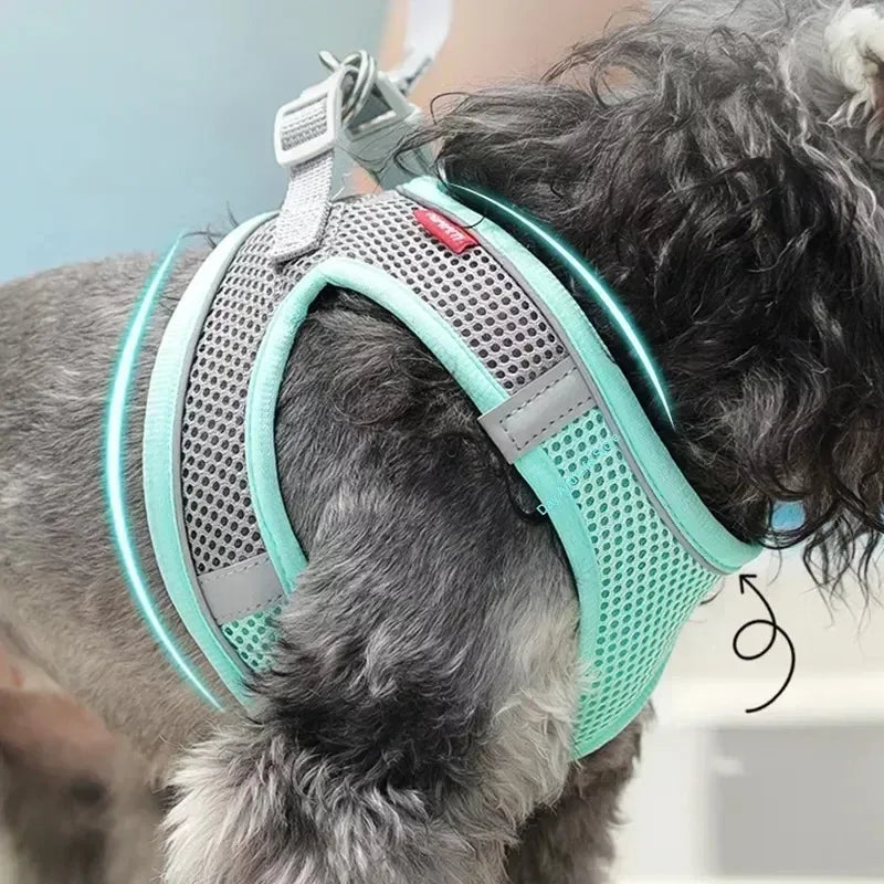 Soft Harness and Lead Set for Puppies and Small Dogs