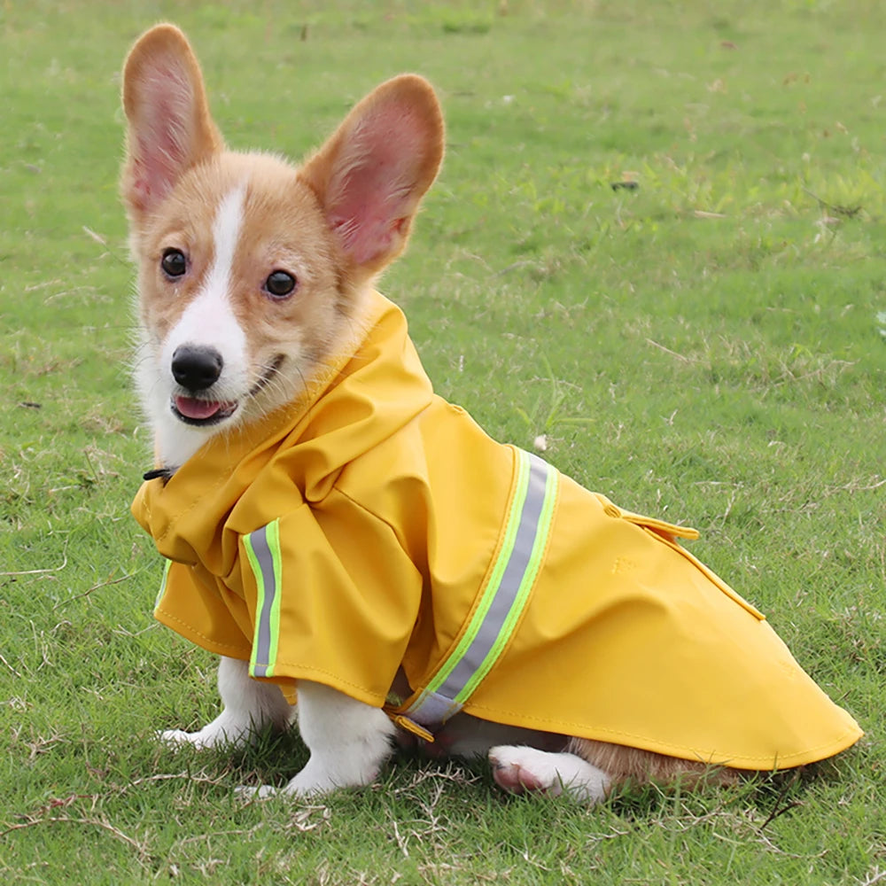 Hooded Cape Raincoat for Dogs