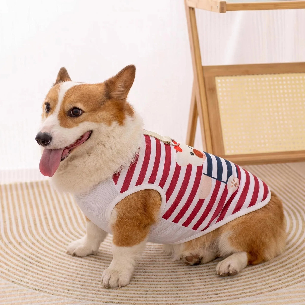 Cartoon Cooling Summer Vest for Dogs
