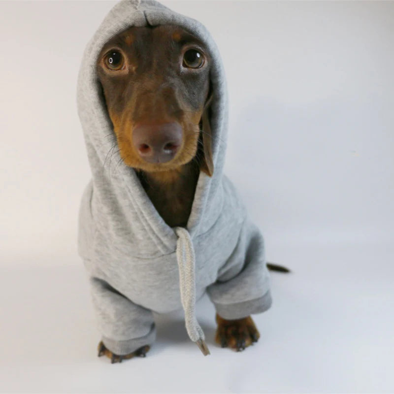 Hoodie for Dachshunds - Grey / XS