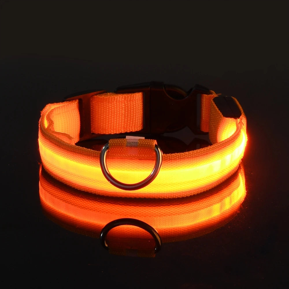 LED Light-Up Dog Collar, Flashing Night Safety Collar - Orange / M