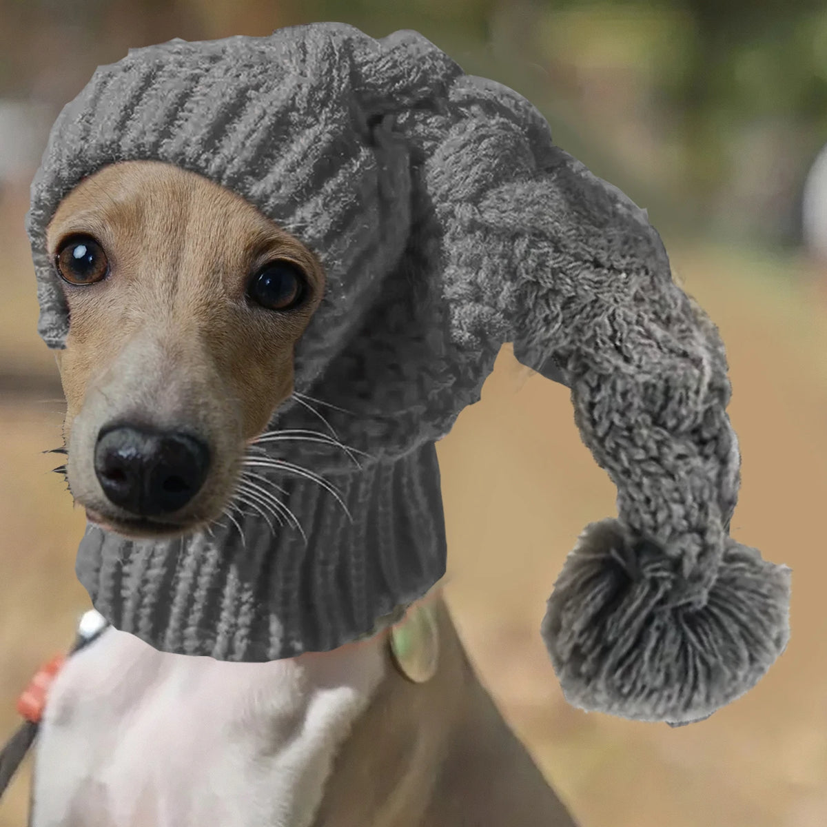 Hand-Knit Snood Hat for Greyhounds and Whippets