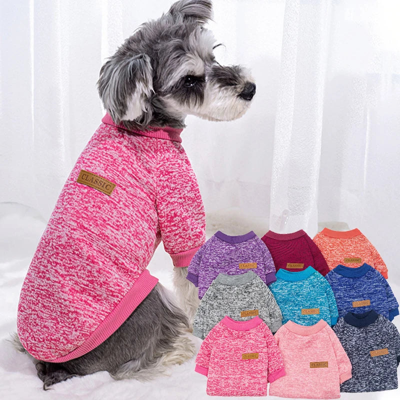 Casual Sweatshirt for Small Dogs