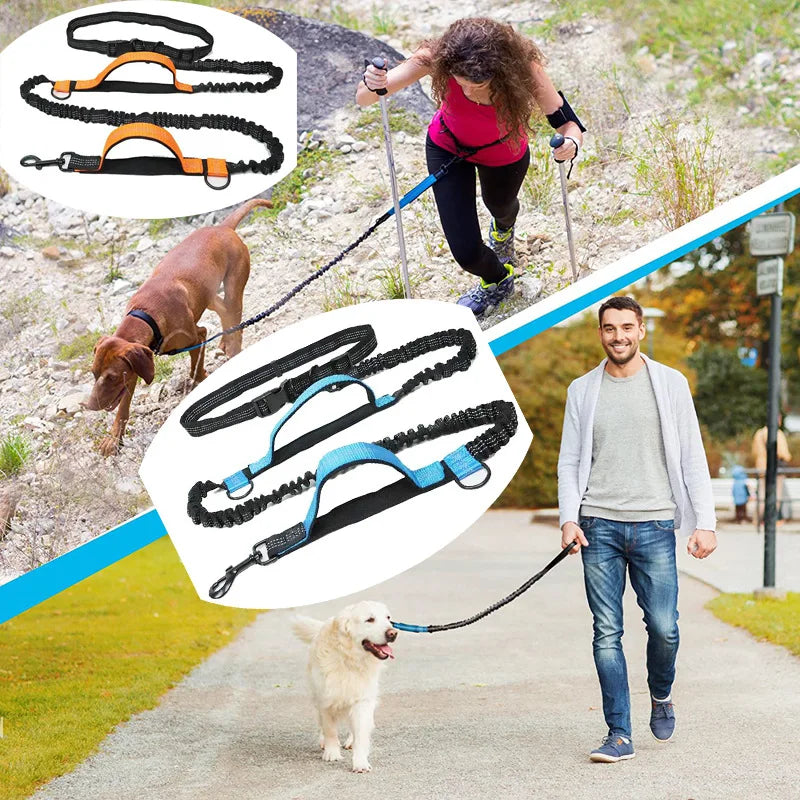 Hands-Free Bungee Running Lead