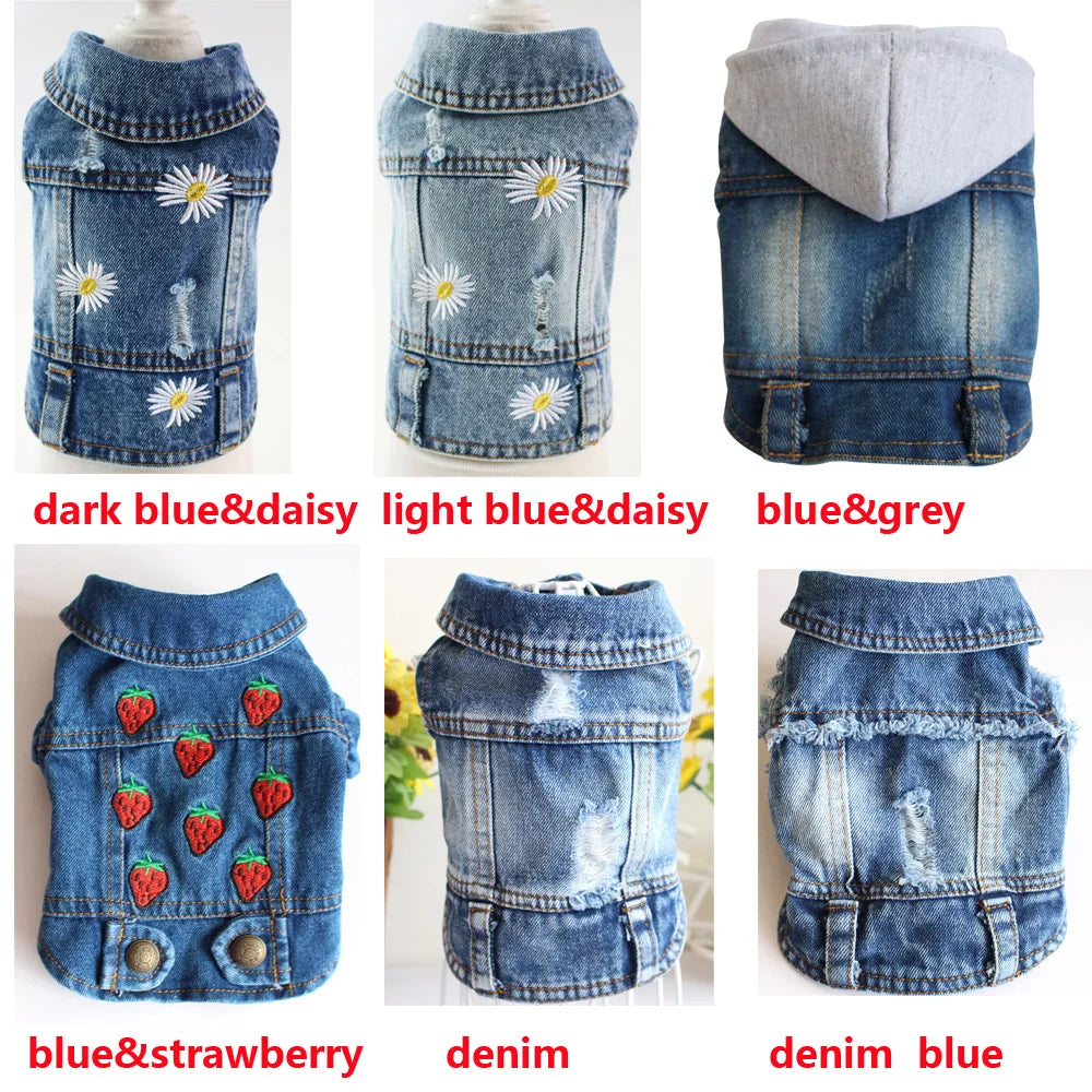 Denim Jacket for Small Dogs