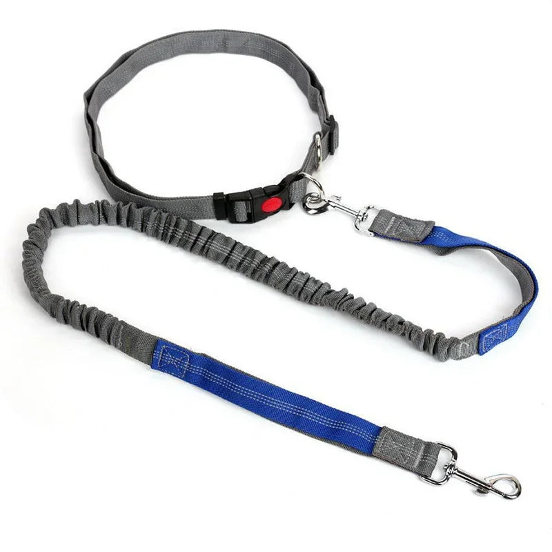 Hands-Free Waist Lead - Grey Blue