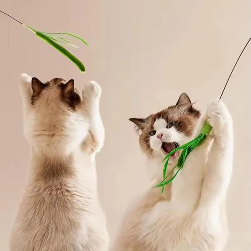 Grass Blade Cat Teaser Wand