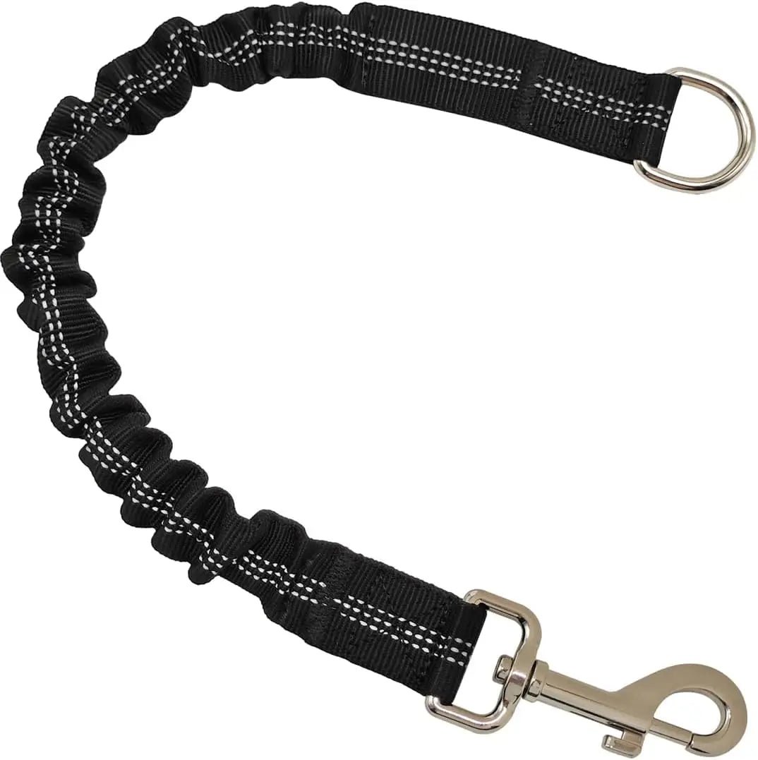Bungee Lead Extension