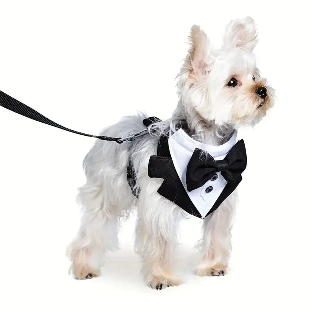 Tuxedo Dog Harness