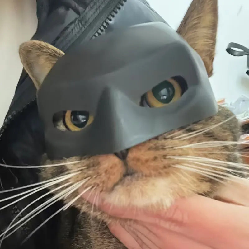 Bat Mask for Cats