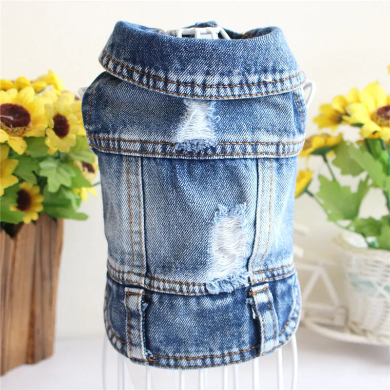 Denim Jacket for Small Dogs - Denim / XS (1 to 1.5 kg)