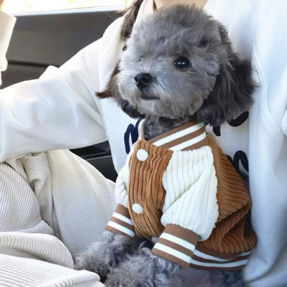 Corduroy Baseball Jacket for Dogs