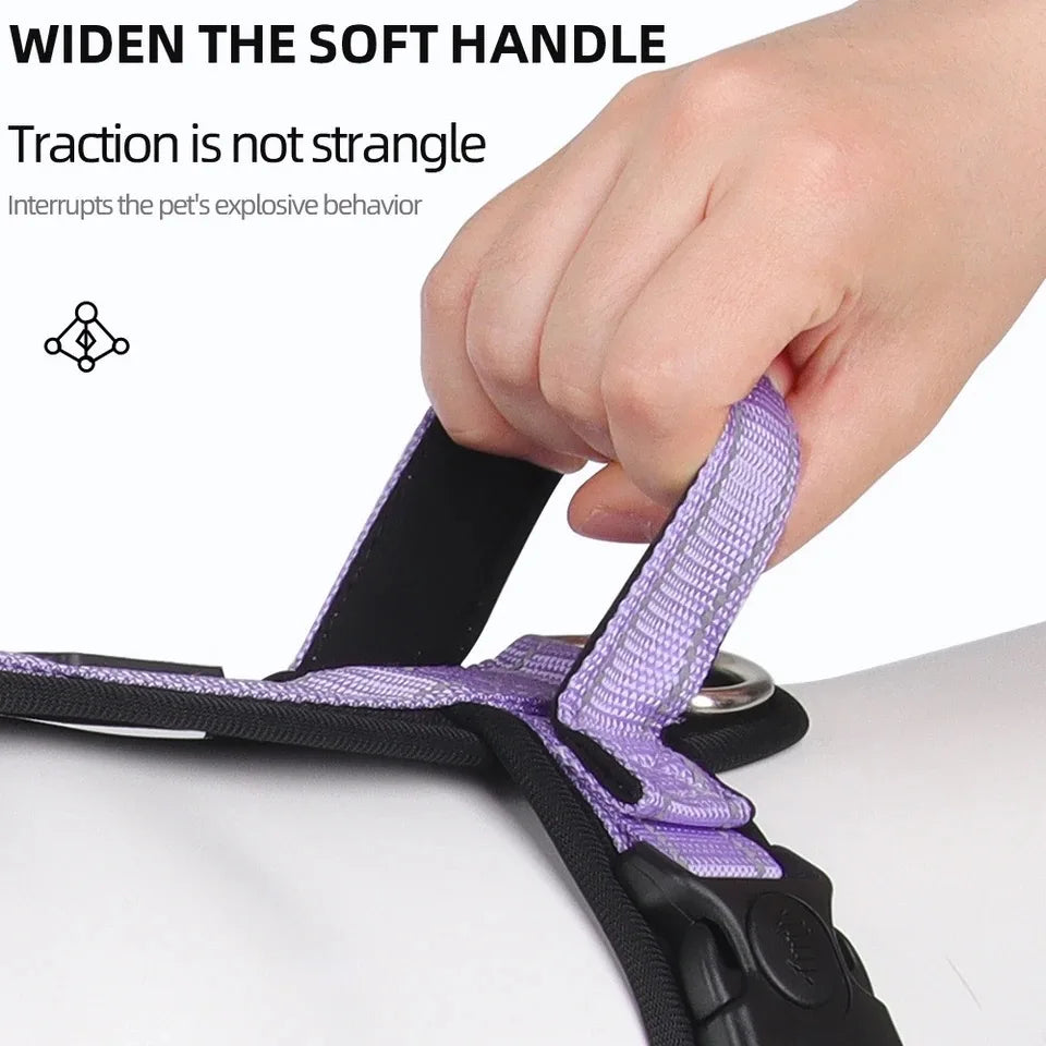 Padded Dog Harness with Handle, Lead Option