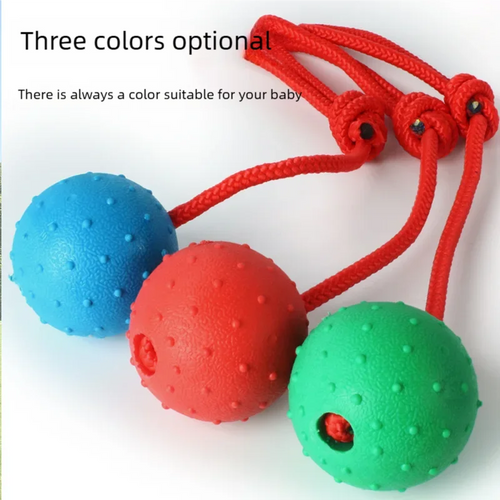 Ball on a Rope Dog Toy