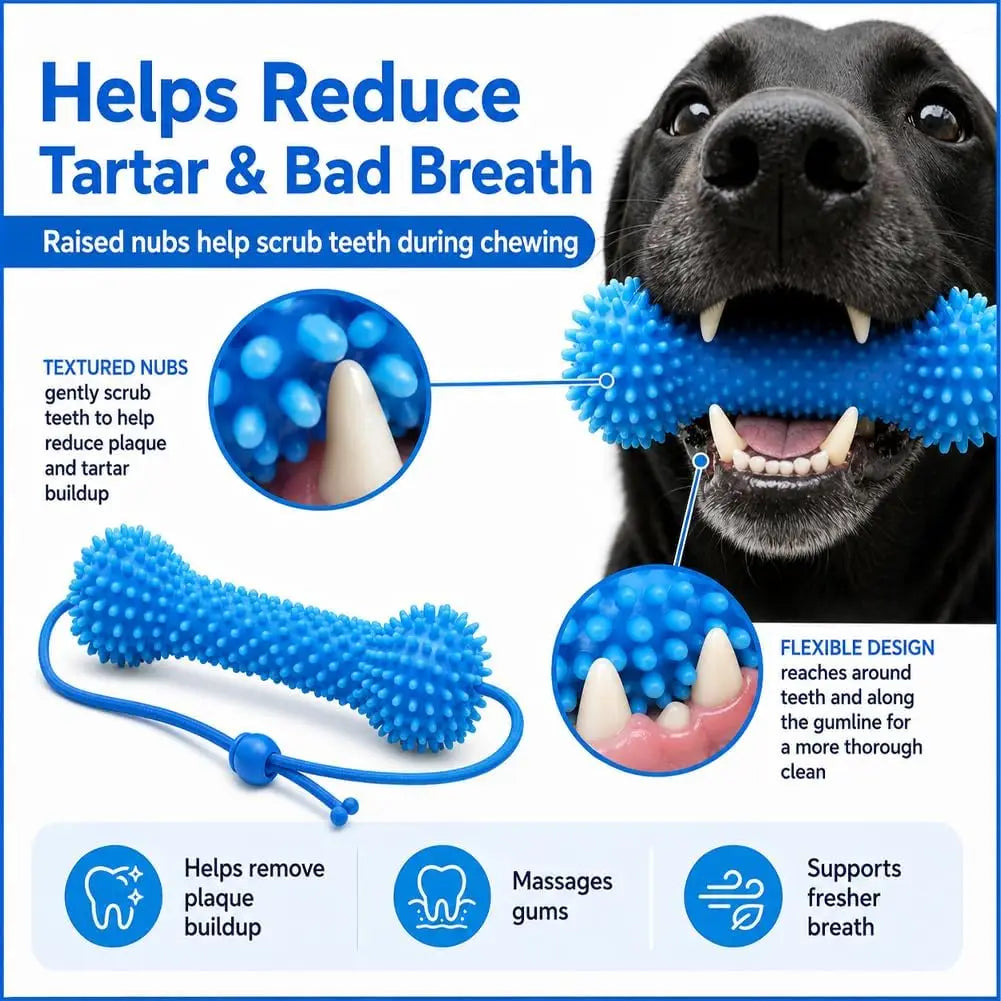 Dental Chew Toy with Rope for Dogs