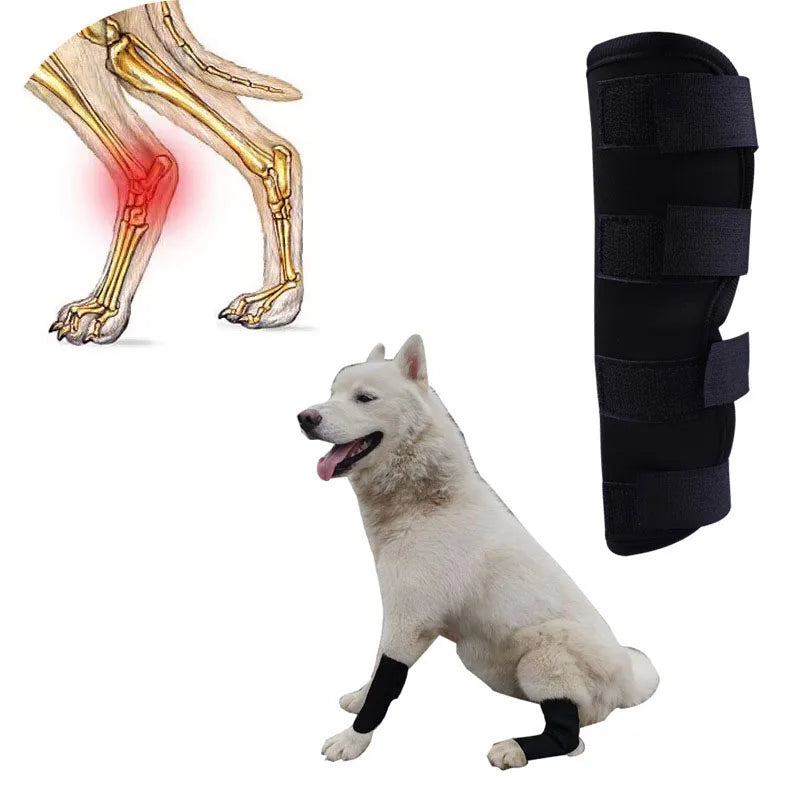 Leg Brace Wraps for Dogs