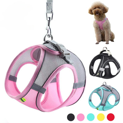 Soft Harness and Lead Set for Puppies and Small Dogs