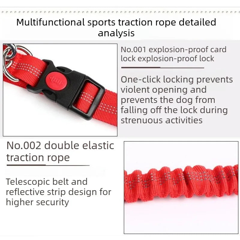 Hands-Free Waist Lead