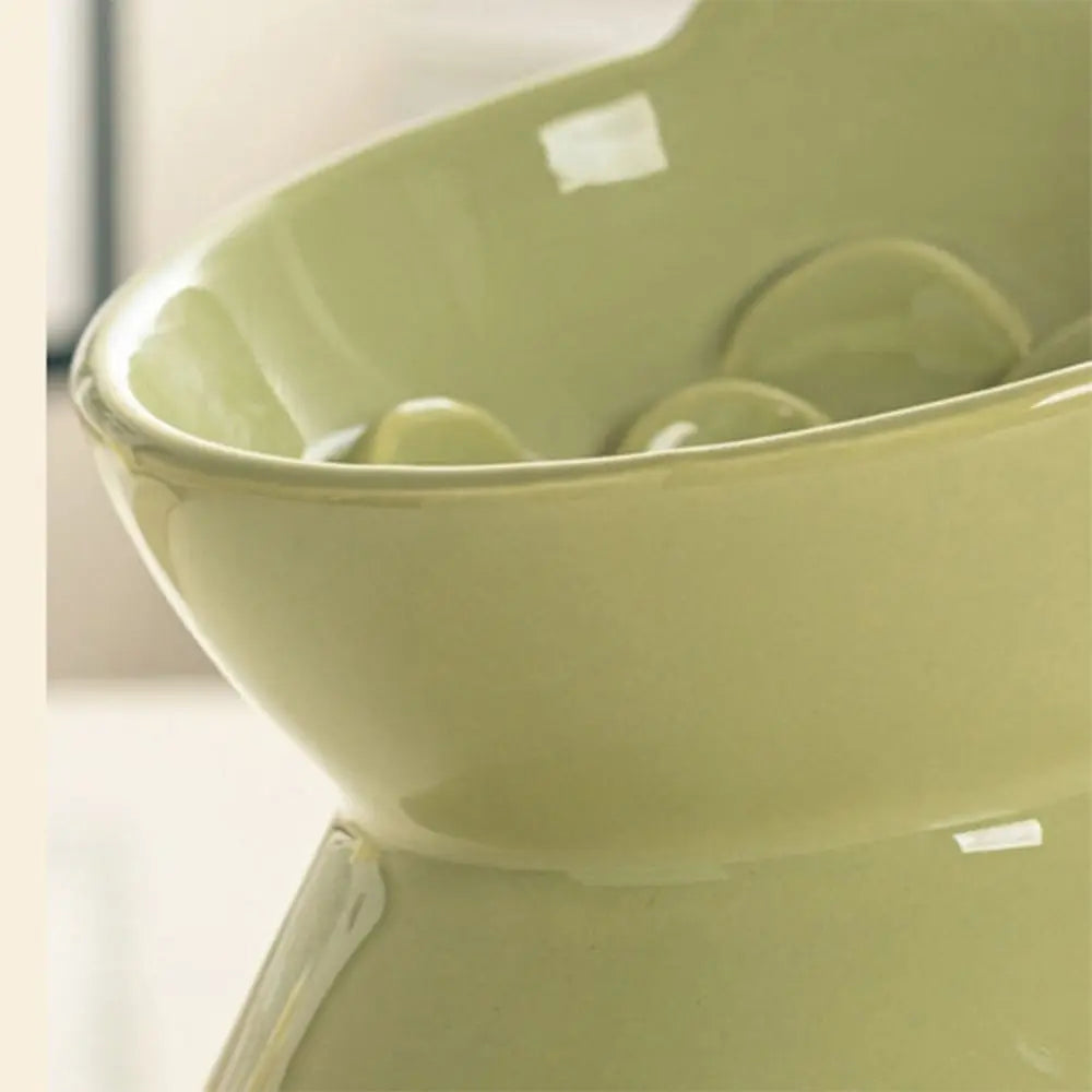 Raised Ceramic Slow Feeder Bowl