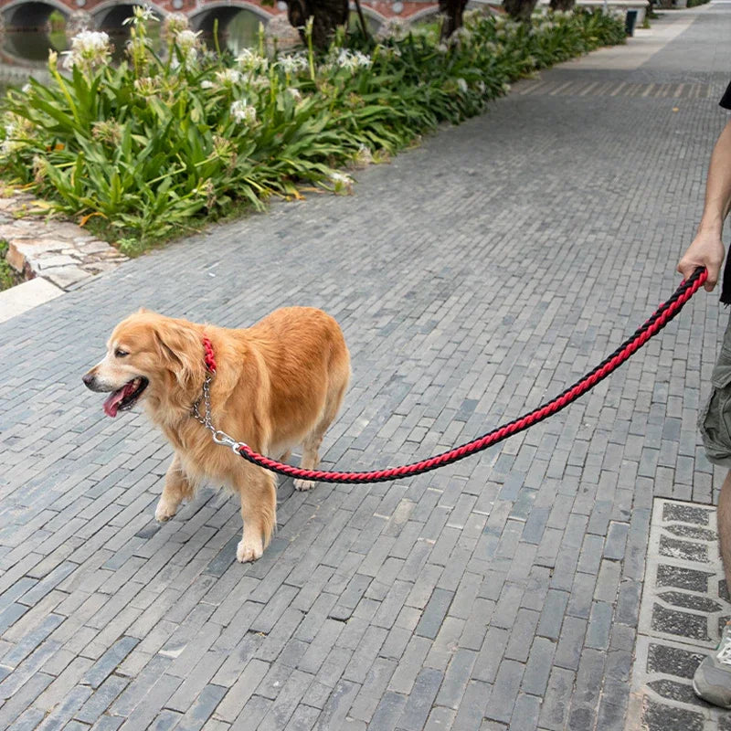 Heavy-Duty Braided Dog Lead, 1.3 m