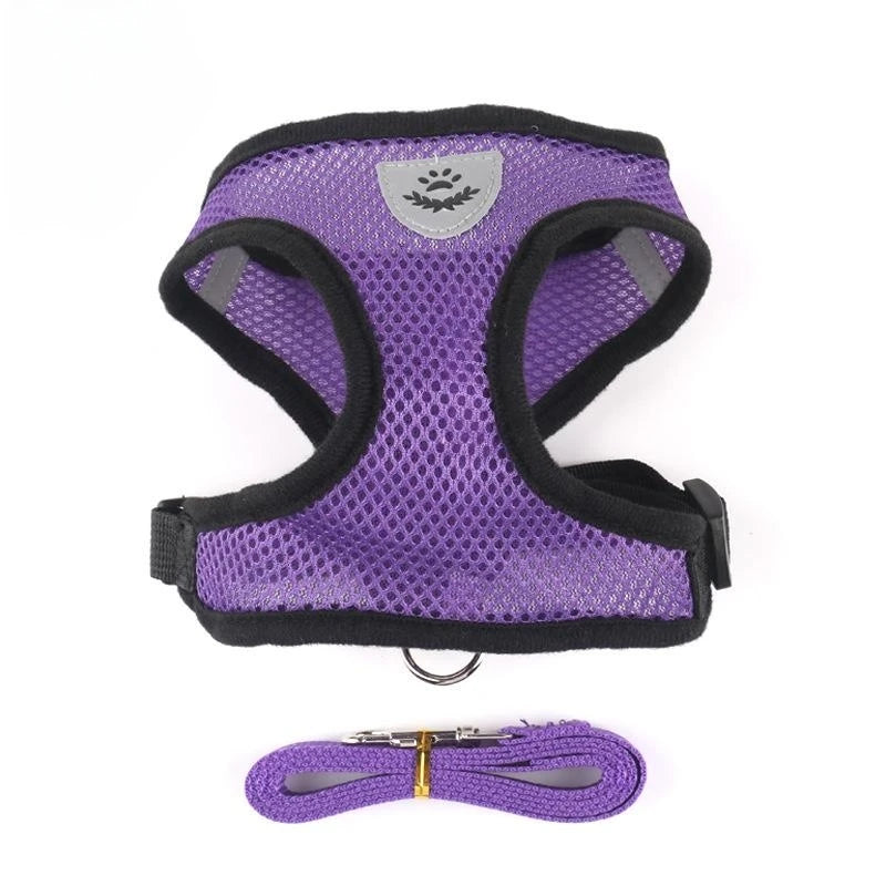 Mesh Vest Harness and Lead Set for Cats and Small Dogs