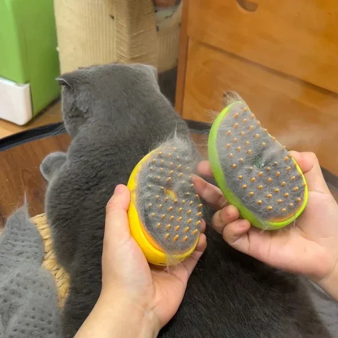 Steam Grooming Brush for Cats and Dogs, Rechargeable
