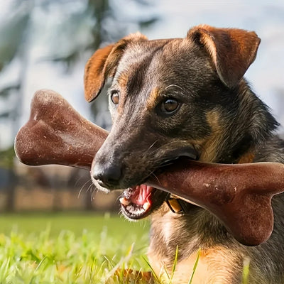 Beef-Flavoured Bone Chew Toy