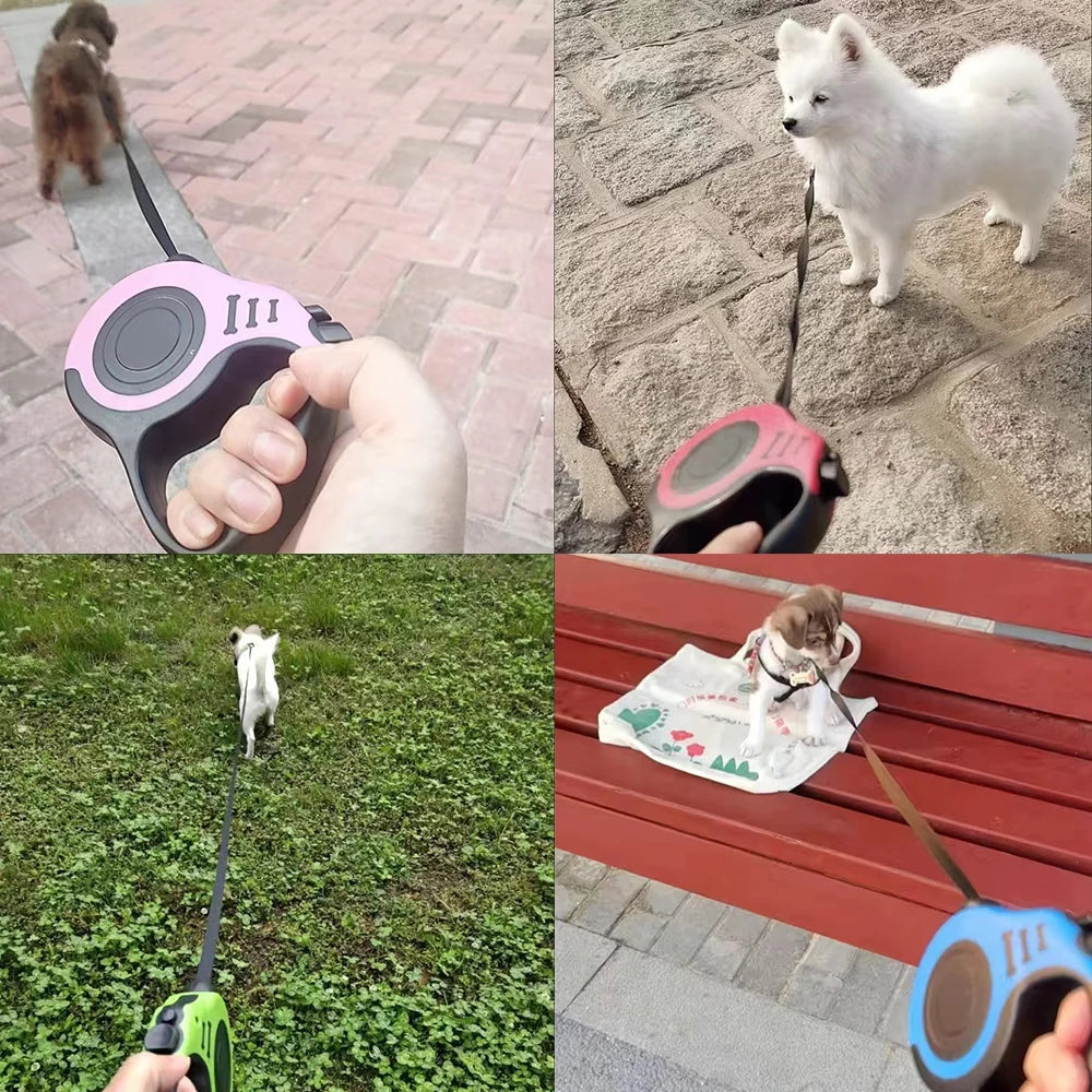 Retractable dog lead