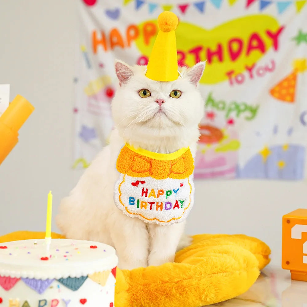 Pet Birthday Hat and Bandana Set