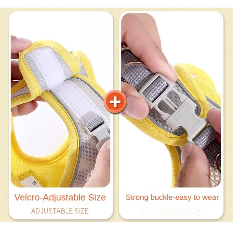 Reflective Step-In Harness and Lead Set for Small Dogs and Cats