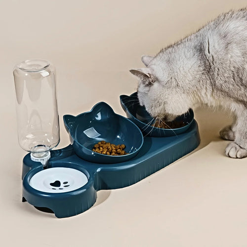 3-in-1 Tilted Cat Bowl Set with Water Bottle