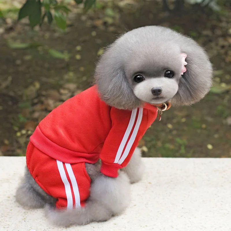 Hooded Tracksuit Jumpsuit for Small Dogs