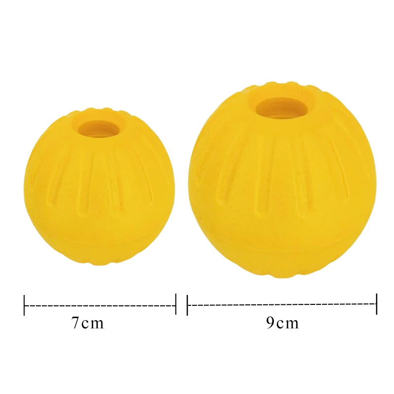 Floating Foam Fetch Ball