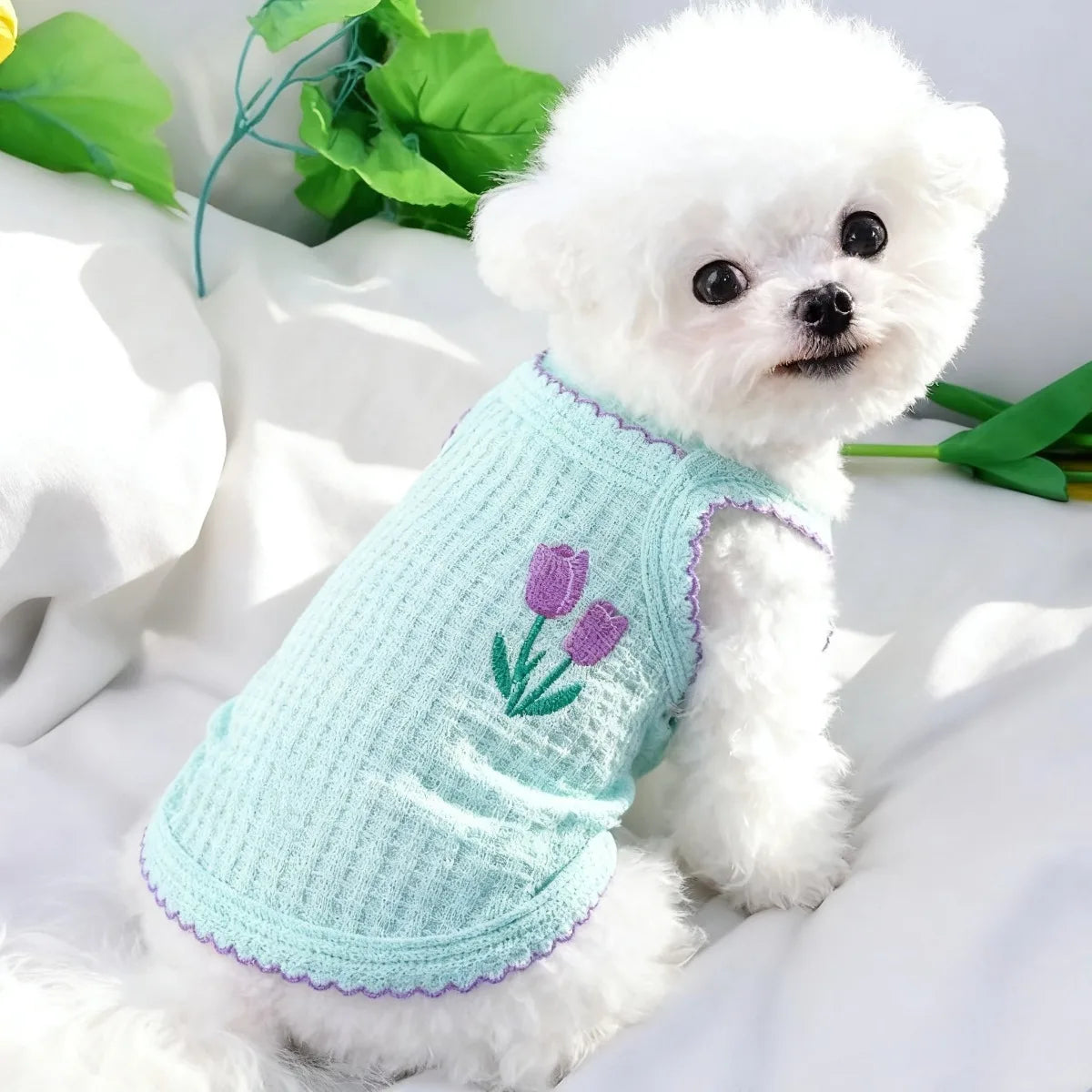 Embroidered Summer Vest for Small Dogs - Blue / XS