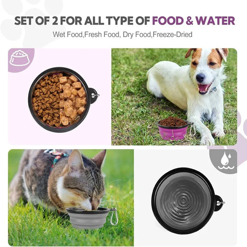 2-in-1 Collapsible Travel Bowl Set for Food and Water