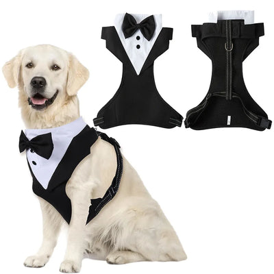 Tuxedo Dog Harness