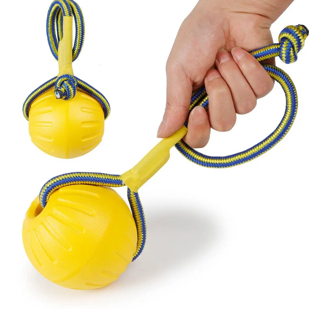 Rubber Ball on a Rope for Dogs